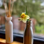 The Grey Tiny Alpesi faház Chimay