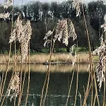 The Grey Tiny Chimay