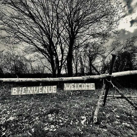 The Grey Tiny Chalet