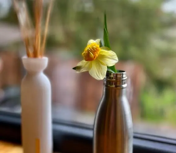 The Grey Tiny Chalet Chimay