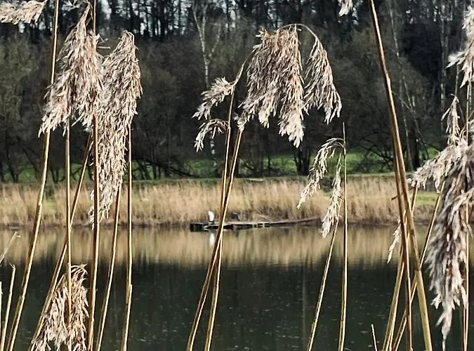 The Grey Tiny Chimay